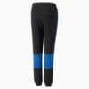 Изображение Puma Детские штаны BMW M Motorsport SDS Sweat Pants Youth #2