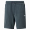 Зображення Puma Шорти Downtown Towelling Men's Shorts #4: Dark Slate