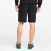 Image Puma Mercedes-AMG Petronas Essentials Shorts #2