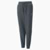 Изображение Puma 533885 #5: Dark Slate
