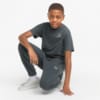 Изображение Puma 533885 #3: Dark Slate