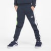 Изображение Puma Детские штаны FRUITMATES Kids' Sweatpants #1