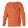 Зображення Puma Дитяча толстовка PUMA x TINYCOTTONS Printed Crew Neck Kids' Sweatshirt #1: Pheasant