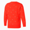 Зображення Puma Дитяча толстовка PUMA x TINYCOTTONS Printed Crew Neck Kids' Sweatshirt #3: grenadine