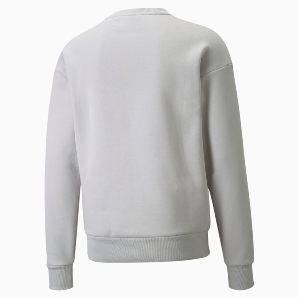 

PUMA - male - Толстовка Protec.T Crew Neck Men's Sweatshirt – Gray Violet –, Серый