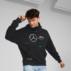 Imagen PUMA Polerón con capucha para hombre Mercedes-AMG Petronas Motorsport Formula One Statement #4