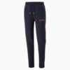 Image Puma Red Bull Racing MT7 Sweatpants Men #6