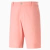 Image Puma Dealer 10