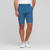 Image Puma Dealer 10