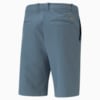Image Puma Dealer 10