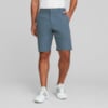 Image Puma Dealer 10