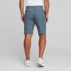 Image Puma Dealer 10