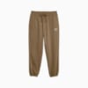 Изображение Puma Спортивные штаны Classics Sweatpants Men #6: Chocolate Chip