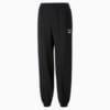 Изображение Puma Штаны Classics Sweatpants Women #8: Puma Black