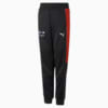 Image Puma BMW M Motorsport MT7 Pants Youth #1