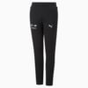 Image Puma BMW M Motorsport Slim Sweatpants Youth #1