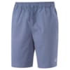 Imagen PUMA Short SUEDE #1