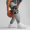 Зображення Puma Штани Posterise Basketball Sweatpants Men #1: Medium Gray Heather