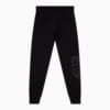 Изображение Puma Штаны Posterise Basketball Sweatpants Men #2: Puma Black