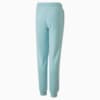 Imagen PUMA Pantalones deportivos juveniles PUMA x Pokémon #7