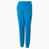 Image Puma BMW M Motorsport Essentials FT Pants Youth #1
