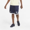 Изображение Puma Шорты PUMA Team 8