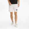 Изображение Puma Шорты PUMA Team 8