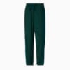 Зображення Puma Штани Storm Watch Packable Basketball Pants Women #1: Varsity Green