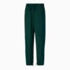 Изображение Puma Штаны Storm Watch Packable Basketball Pants Women #1: Varsity Green