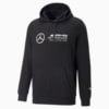 Image Puma Mercedes-AMG Petronas Motorsport F1 Essentials Fleece Hoodie Men #5