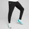 Зображення Puma Штани Mercedes-AMG Petronas Motorsport F1 Essentials Fleece Pants Men #1: Puma Black