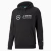 Изображение Puma Худи Mercedes-AMG Petronas Motorsport F1 Essentials Hoodie Men #6: Puma Black