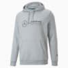 Изображение Puma Худи Mercedes-AMG Petronas Motorsport F1 Essentials Hoodie Men #6: Mercedes Team Silver