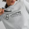 Изображение Puma Худи Mercedes-AMG Petronas Motorsport F1 Essentials Hoodie Men #3: Mercedes Team Silver