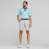Image Puma PUMA x Arnold Palmer Mattr Dunes Golf Polo Shirt Men #4