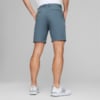 Image Puma Dealer 8