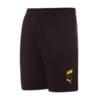 Изображение Puma Шорты PUMA x NAVI Player Shorts Men #6: Puma Black