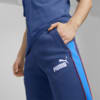 Image Puma BMW M Motorsport MT7 Track Pants Men #2