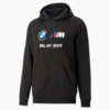 Image Puma BMW M Motorsport ESS Fleece Hoodie Men #6