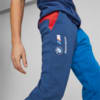 Image PUMA Calça de Moletom BMW M Motorsport ESS FT Masculina #2