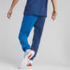 Image Puma BMW M Motorsport ESS FT Sweatpants Men #4