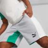 Image PUMA Shorts Classics Block 8
