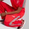 Image Puma Scuderia Ferrari Race MT7 Monochromatic Pants Men #5