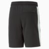 Image PUMA Shorts T7 Iconic Terry Masculino #7