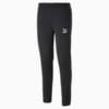 Image Puma SWxP Training Pants Men #6