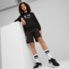 Image Puma BMW M Motorsport ESS Hoodie Youth #3