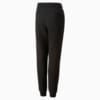 Image Puma BMW M Motorsport ESS Pants Youth #6
