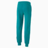 Изображение Puma Штаны Scuderia Ferrari Style Sweatpants Men #7: Green Lagoon