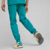 Изображение Puma Штаны Scuderia Ferrari Style Sweatpants Men #4: Green Lagoon