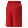 Изображение Puma Детские шорты Clyde Basketball Shorts Youth #6: For All Time Red